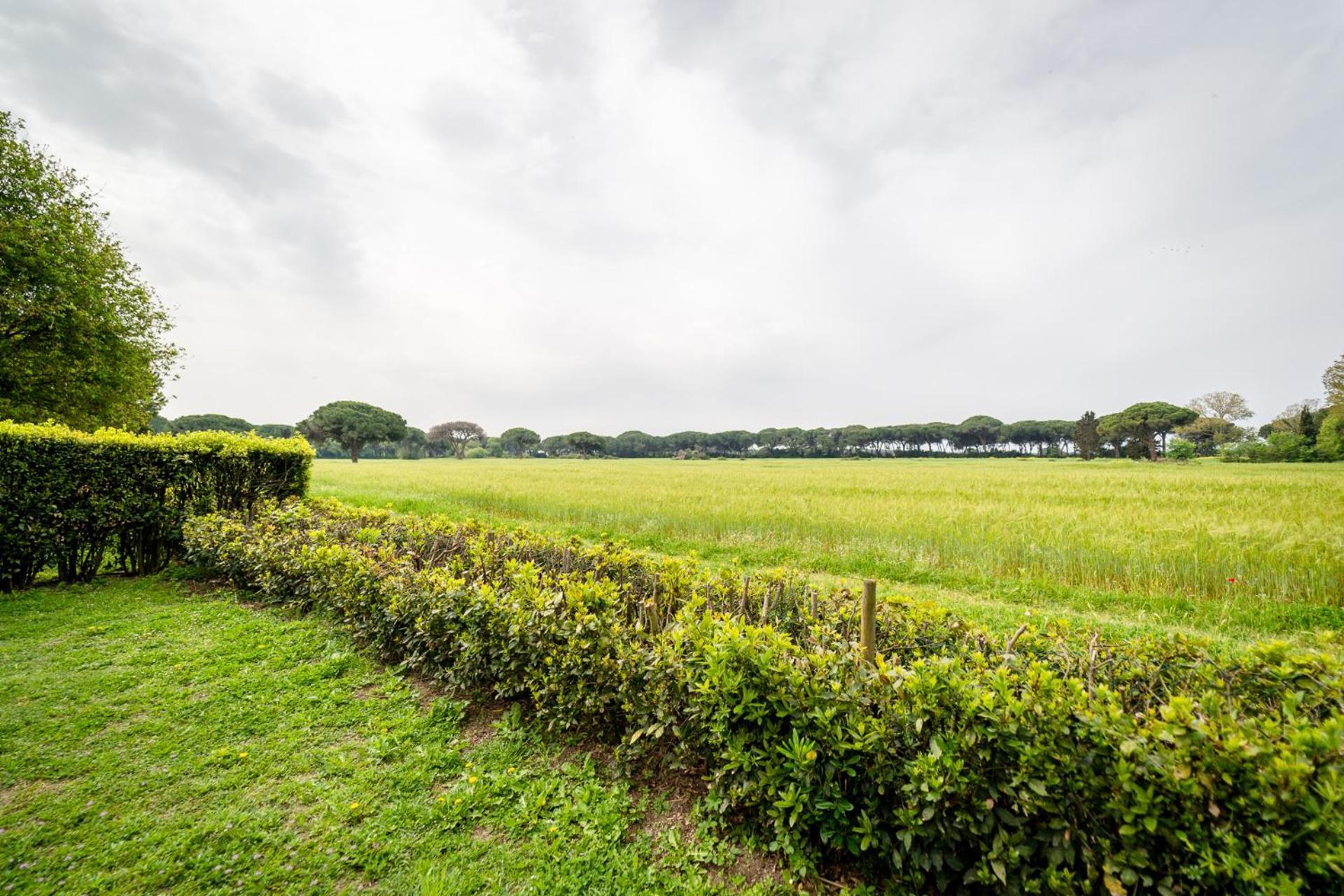 Agriturismo Bio Femminella ปรินชิปีนา อามาเร ภายนอก รูปภาพ