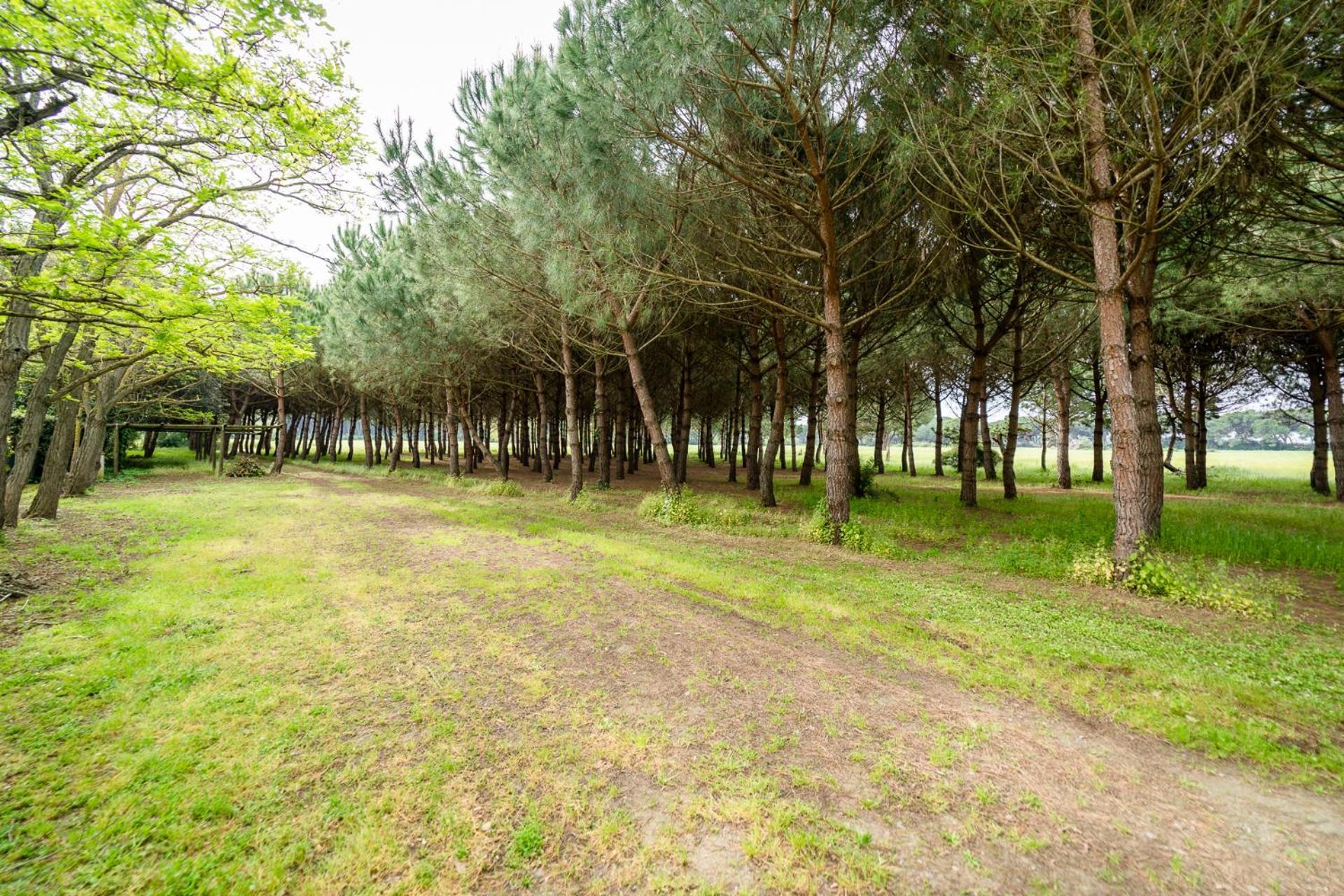 Agriturismo Bio Femminella ปรินชิปีนา อามาเร ภายนอก รูปภาพ